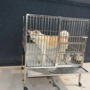 ��ţ����ֹ�������Ȯר��304����ִ�����©����