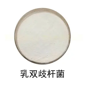 食品级冻干型乳酸菌原料-乳双歧杆菌 活性益生菌散装菌粉100-1000亿 可订制