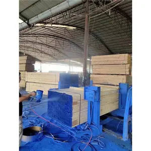 10*10ľ�� ������ľ���ĳ���