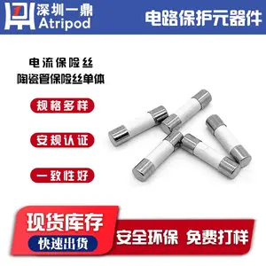 一鼎REOMAX BTC 10A250V 5*20mm陶瓷管单体慢断保险丝 有安规认证
