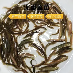 �����ֹ�������������***��/̨���������������ء���������������̴�������