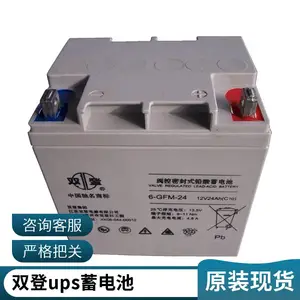 双登蓄电池6-GFM-100免维护电瓶12V100AH阀控式铅酸直流屏UPS电源