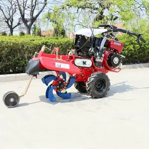 ���͹�԰ʩ�ʻ���� �ַ�ʽ������ֲ������������ ��԰ʩ���ڹ���