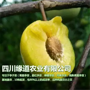 四川缘道农业有限公司