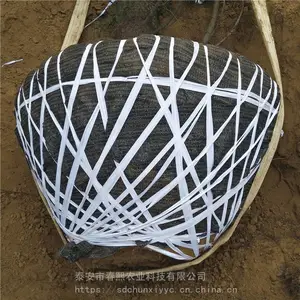 ������Ӧ3��4���̻�ѩ���� ��׼���� רҵ�������� �ļ�����ֲ��