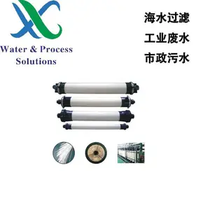 威海新欣环保,超滤膜,PVDF超滤,中空纤维超滤膜,NCM-P860