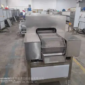 果蔬气泡清洗机 喷淋清洗机 非标定制工业用