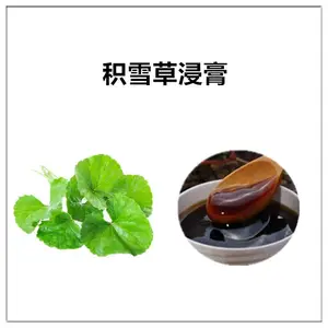 沃特莱斯生物 积雪草浸膏 提取液 比重1.1-1.3 可定制 棕褐色半流体