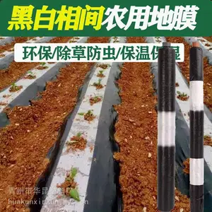 黑白相间地膜 果树专用相间膜 黑白双色地膜 两黑一白地膜 山东地膜 地膜规格