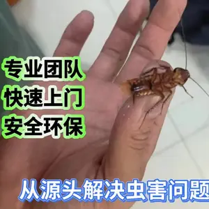 浴场除臭虫饭店除蟑螂食堂灭鼠家庭除螨 专业四害消杀上门服务
