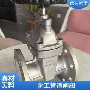 美标不锈钢闸阀 法兰连接Class150 水处理系统启闭阀 支持按需定制
