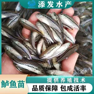 �㶫������������������������ˮ�� �����������