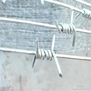 ���������˿-���ܴ���-��п����˿