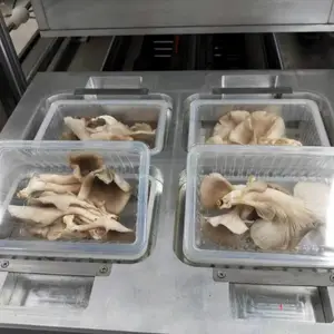 �ӱ�����ʽ��հ�װ�� ��������װ������װ��