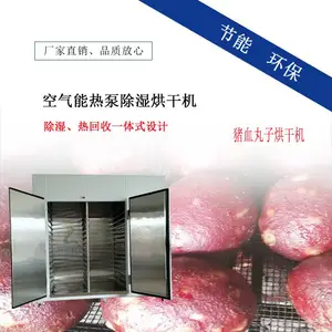 猪血丸子烘干机 丹莱空气能小型两相电食品干燥设备