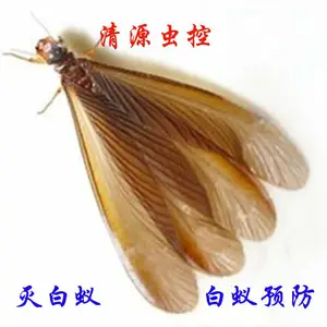 ������Դ��ظ��ߴ�ң����ϵ�ϰ�ԡ�Σ����Ԥ������***ҩ������ɢ��