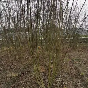 ��ޱ�������� �� �˸�1.35����ޱ������ ��ޱ�����ӹڷ�2�׶�