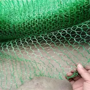�����̻��� �������������� ����������