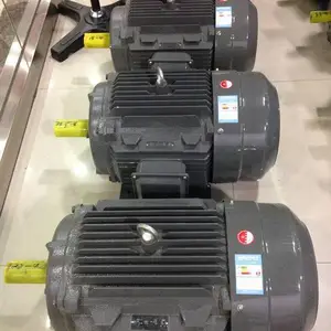 �¶�YE2-315L2-4 200KW B3 �����첽�綯�� �������е�ʹ�ó���