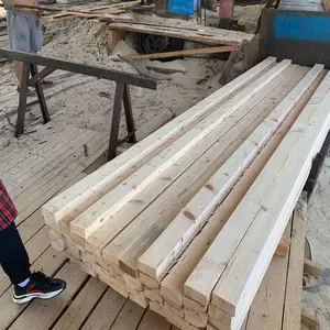 ��������ľ������ľ��