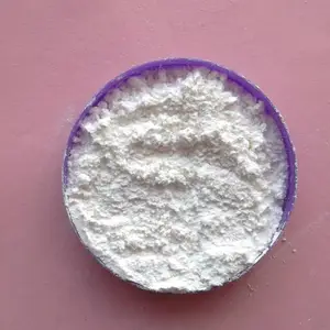 Ϳ�������� | ���Ϲ����� | ���������
