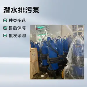 市政排污泵,高效节能污水泵,潜污泵,污水泵,蓝深集团
