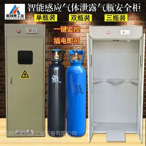 供应深圳双瓶气瓶柜,钢制双瓶报警气瓶柜