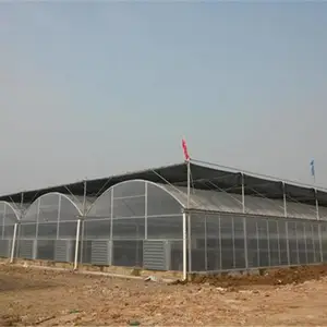 农业温室大棚具备哪些条件才可以申请农业补贴/薄膜连栋蔬菜温室