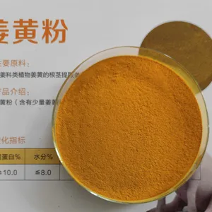 饲料姜黄粉 姜黄素 饲料载体填充物动保饲料调节肠道护肝利胆