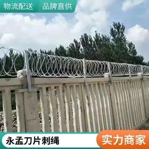 �߷��������������ò���ֵ�Ƭ���� Χǽ�������ȶ�п��˿