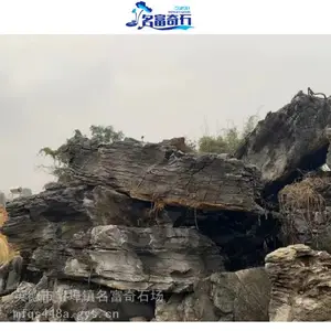 湖南郴州大英石庭院别墅景观文化造景石 郴州风景石大英石厂家批发