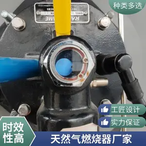 岱鼎燃烧燃气转炉煤气工业窑炉加热炉燃烧机烧嘴性价比高升温