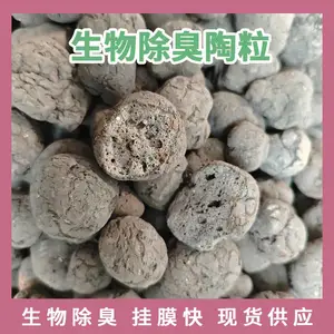 高效生物除臭陶粒滤料 工业废气 / 污水厂臭气处理 挂膜快除臭持久