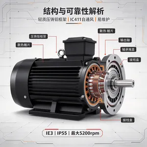 �����OEMER��Ĭ MTS3 132SB/2�����첽��� IE3 ��������������