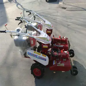 ΢�Ϳ�����¢��|������¢����һ���|����ɵ��ڿ�����