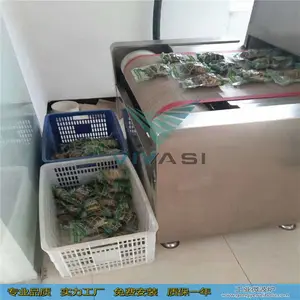 糕点微波杀菌设备 点心杀菌机 适合包装食品 威雅斯制造