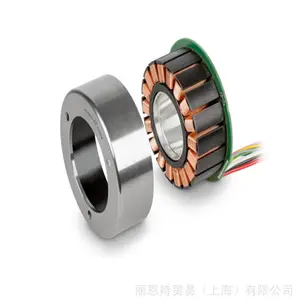 ��ʿ Maxon Motor 166185 ΢�͵�� Maxon Motor 166189