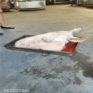 信泽屠宰设备牛头打毛机不锈钢食品机械牛蹄脱毛机纯水退刨毛机