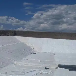 ������������˿������ ����޷������� ��˿���������� ��������