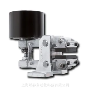 Ringspann DV 030 FPM-050L-12 �ƶ���