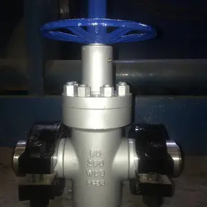 煊泰阀门 高压卡箍闸阀 Z83Y-250 DN100 配套 采油树