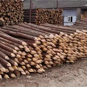 ԭľľ׮�ӵ���׮ľ�������»���׮��Ѵ���鹤���ֳ���������