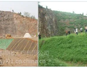 六盘水高速公路坡面绿化草种草籽