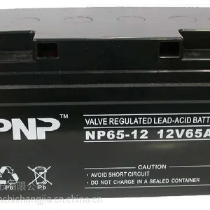 PNP蓄电池代理商NP100-12 12V100AH价格