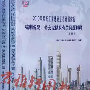 2010�������ʡ���蹤�̼Ƽ����ݱ���˵�����䶨��й��������