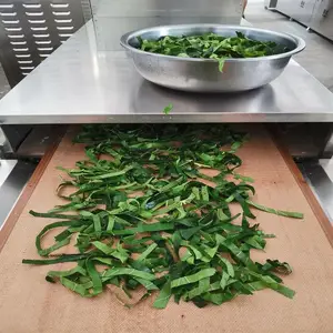 金银花菊花微波杀青设备茶叶隧道式全自动微波杀青机