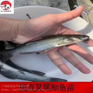 ��ҵ***����***��β�t���� ���ϲ�β�� ��β�tˮ�����ֹ��
