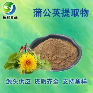 蒲公英提取物 水溶蒲公英粉 10:1提取物 蒲公英黄酮