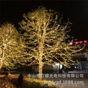 装饰灯串 LED圆球泡串灯 圣诞节彩灯 户外防水灯串 10米100灯220V