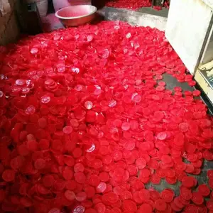���۵�Ƭ ���۵�Ƭ-��ҫ����ֱ��